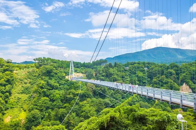 九重夢大吊橋（九重夢大橋）攻略：日本最高人行橋、交通門票紅葉一次看