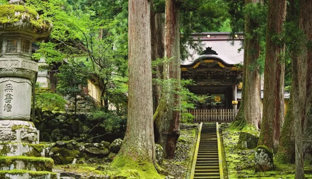 永平寺參拜攻略：福井曹洞宗七堂伽藍、傘松閣天井畫，交通門票資訊