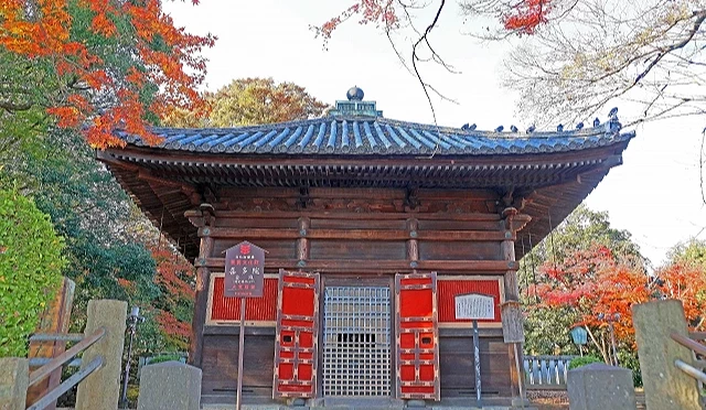 喜多院「慈眼堂」(重要文化財)古樸木造建築外觀,周圍圍繞著鮮豔的紅葉與綠意樹林