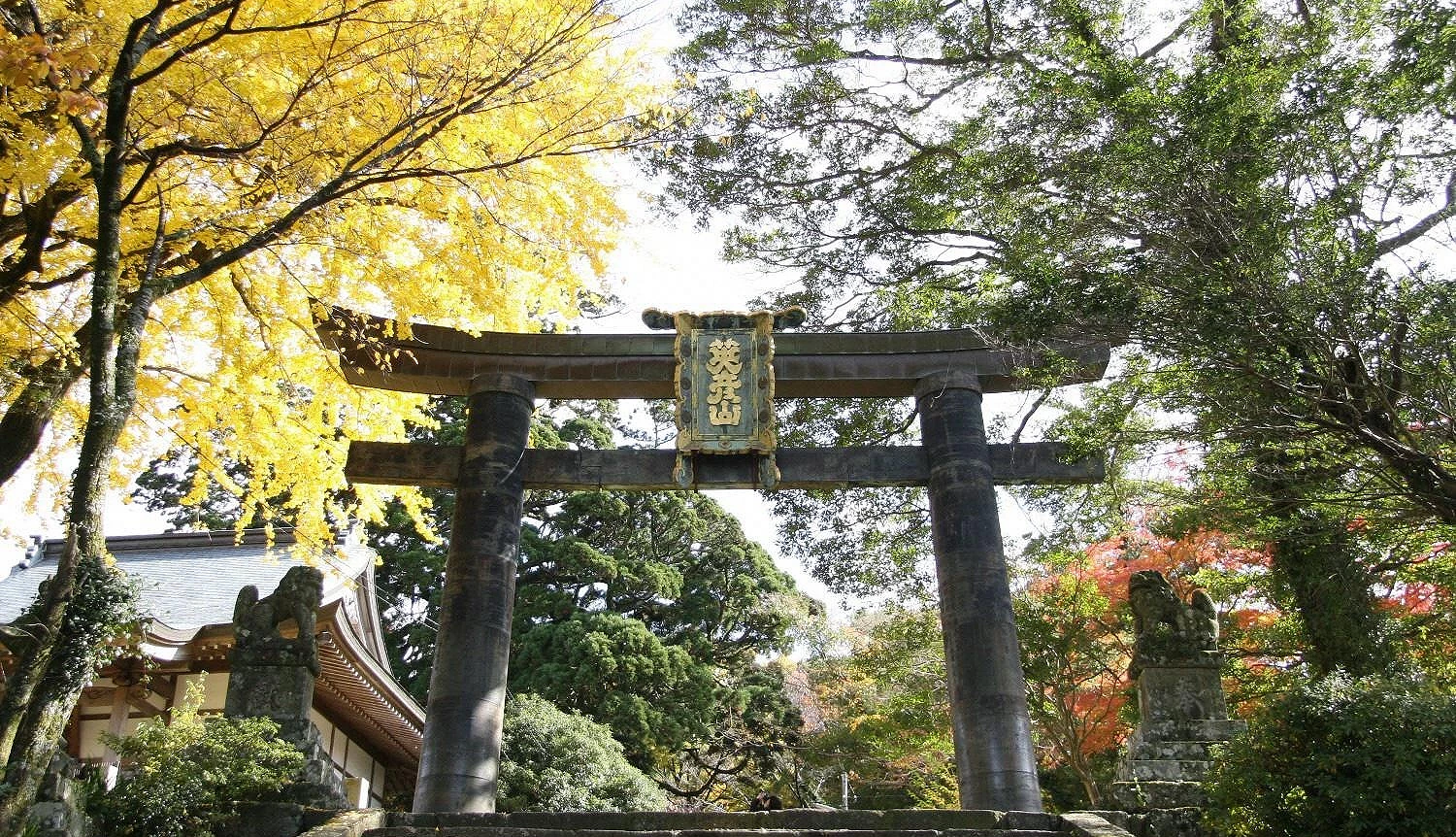 英彥山神宮的銅之鳥居