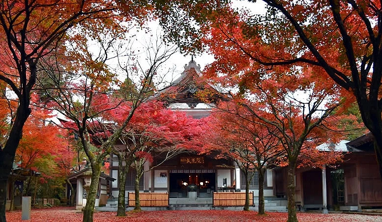 吞山觀音寺算是九州早開的賞楓景點