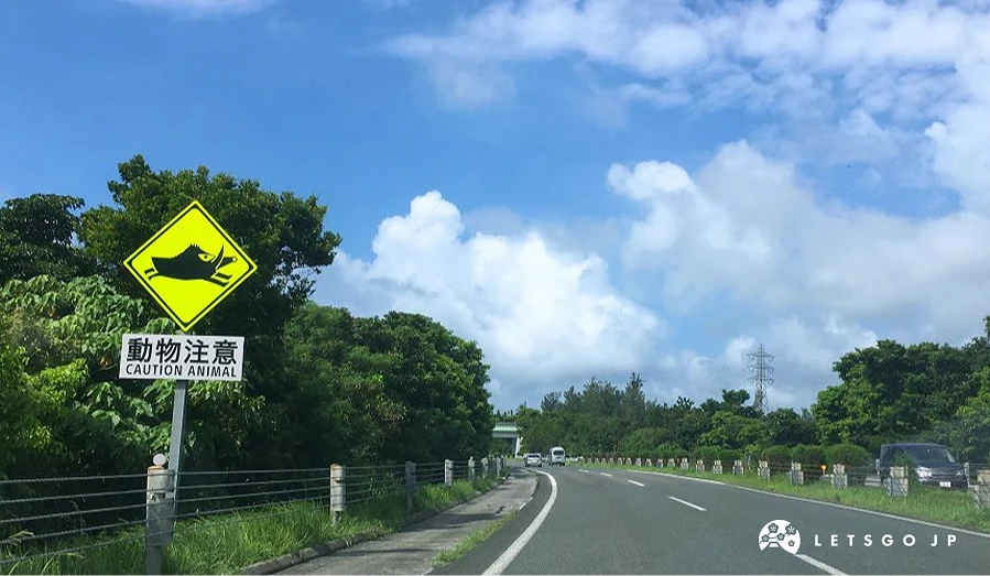 高速公路上的「動物注意」指示牌