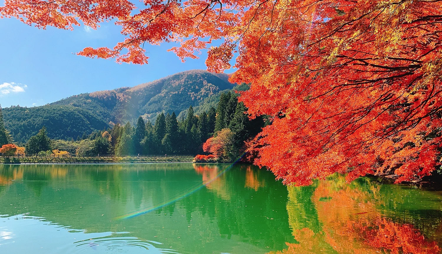 ECOPA 伊奈湖