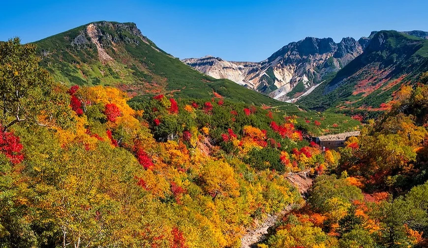 秋季山谷紅黃綠三色楓葉層疊,背景為積雪山脈與藍天