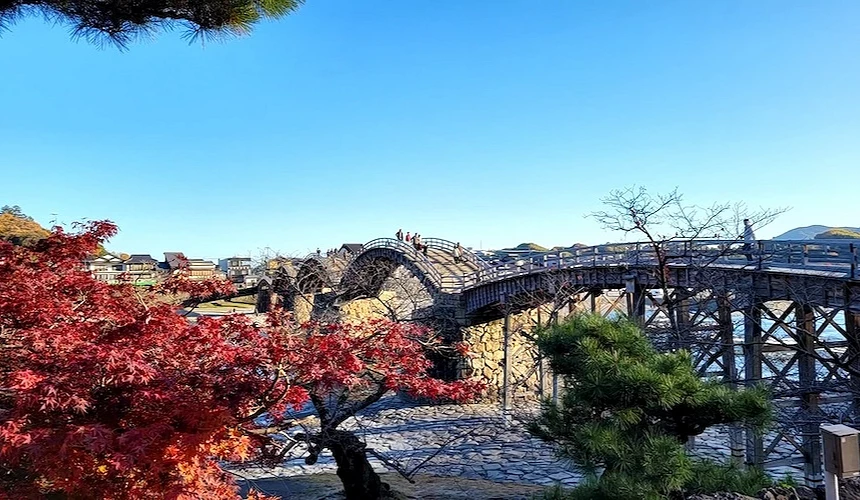 錦帶橋五拱木橋橫跨河川,前景紅葉與松樹,遠方可見山丘與聚落,晴天藍空背景