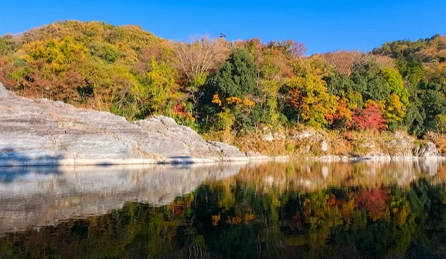 長瀞溪谷秋季山林紅葉倒映於河面的景色
