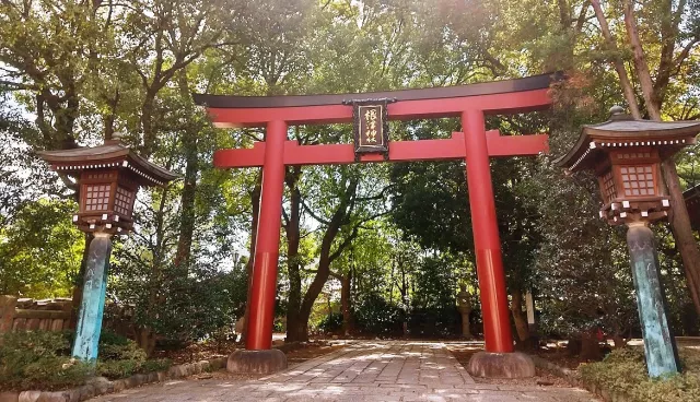 東京根津神社攻略：千本鳥居、杜鵑花祭、例大祭、御守與御朱印一次掌握
