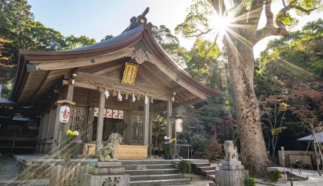 寶滿宮竈門神社攻略：福岡太宰府戀愛御守、鬼滅聖地、紅葉與交通全整理