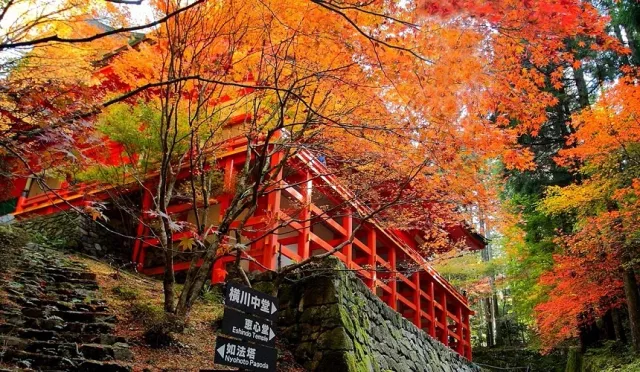 比叡山延曆寺攻略：三塔巡禮、纜車交通與門票、京都大津一日遊行程整理