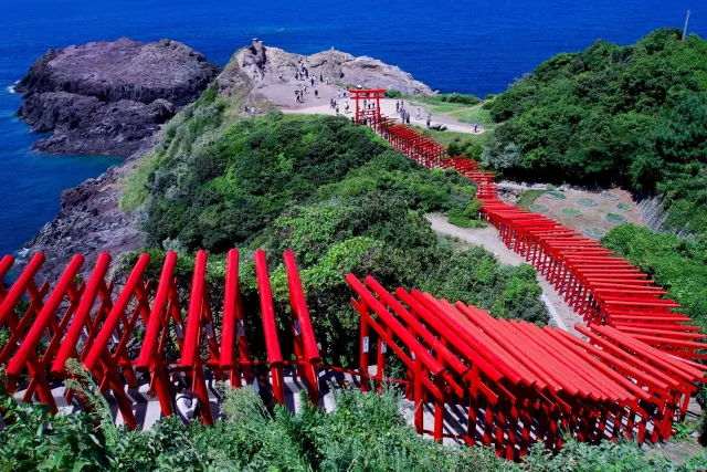 山口觀光巴士推薦：「福遊山口號」一日暢遊元乃隅神社、秋芳洞、角島大橋 的縮圖