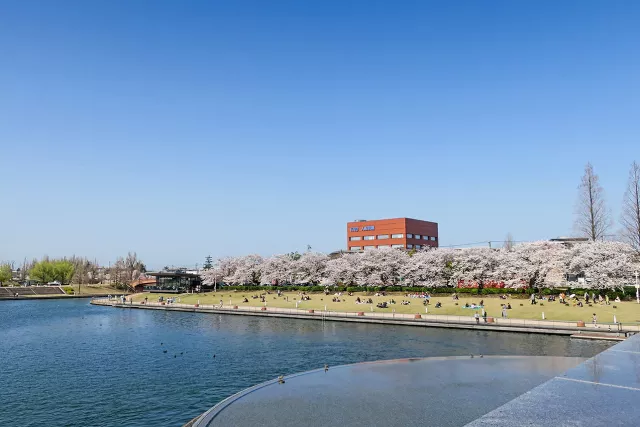 富岩運河環水公園：富山「世界最美星巴克」、天門橋展望台與夜間點燈