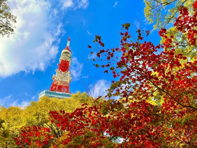 2026東京楓葉景點推薦：必看賞楓名所23選、最佳紅葉觀賞時間 的縮圖
