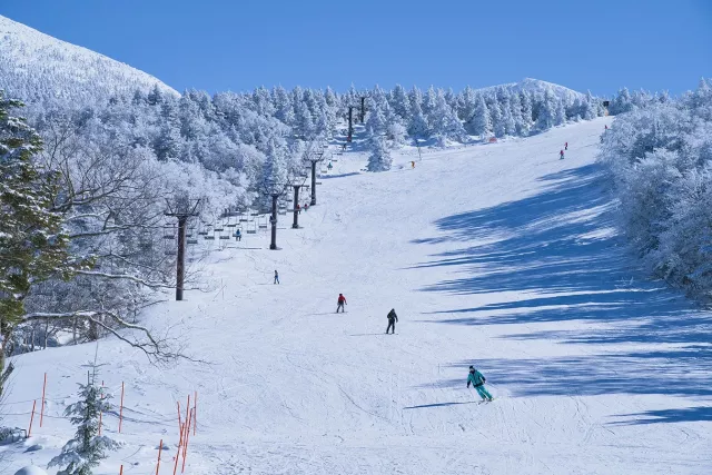 藏王溫泉滑雪場攻略：票價、初學者雪道、租借與教練、住宿交通資訊 的縮圖