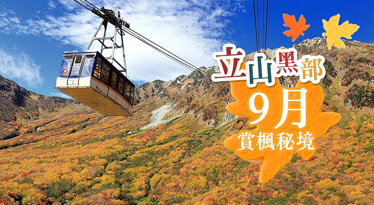 （專欄文）立山黑部楓葉