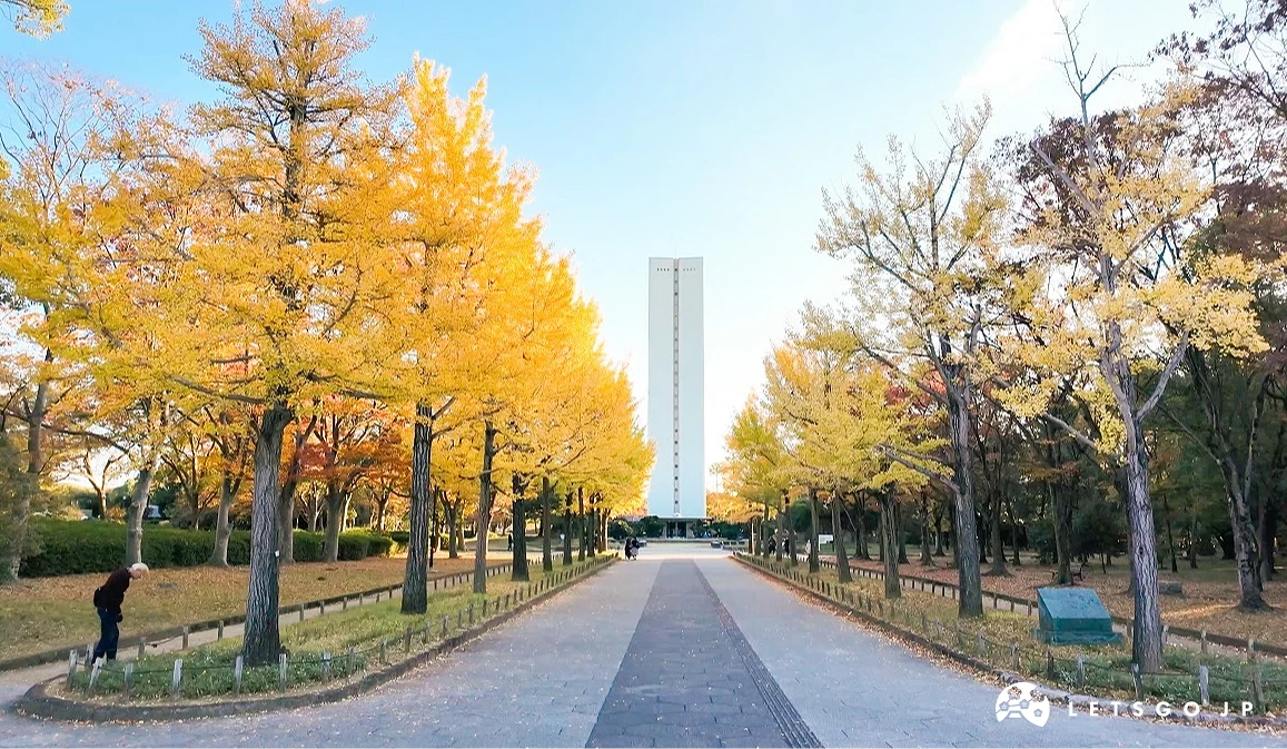 公園道路兩旁金黃色的銀杏樹和藍天