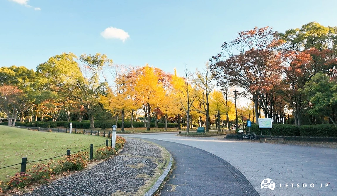 公園內許多金黃色的銀杏樹和紅葉