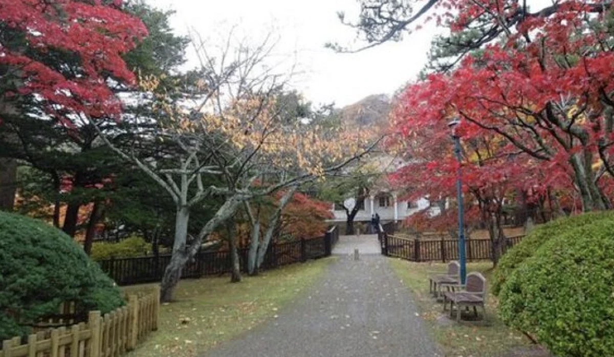 公園道路兩旁的楓樹紅葉