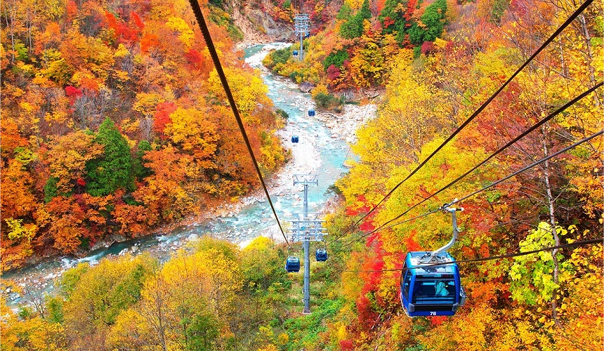 苗場龍纜車與峽谷兩岸的紅葉
