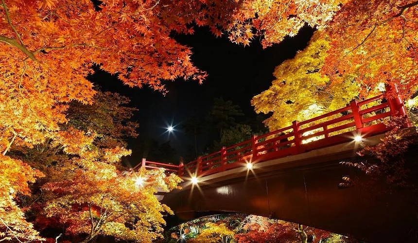 彌彥公園的秋季紅葉點燈