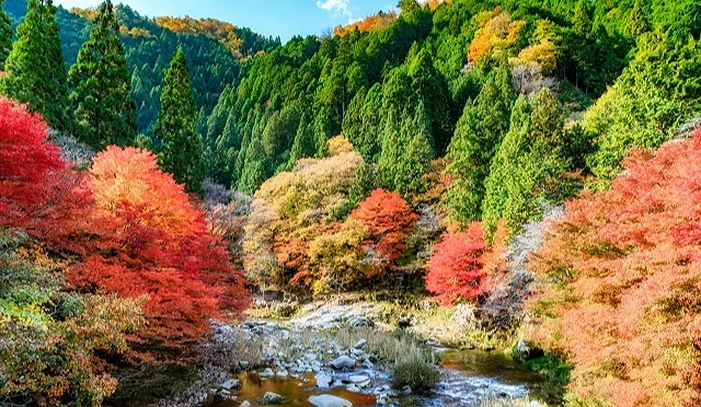 溪谷被染成一片鮮紅與金黃