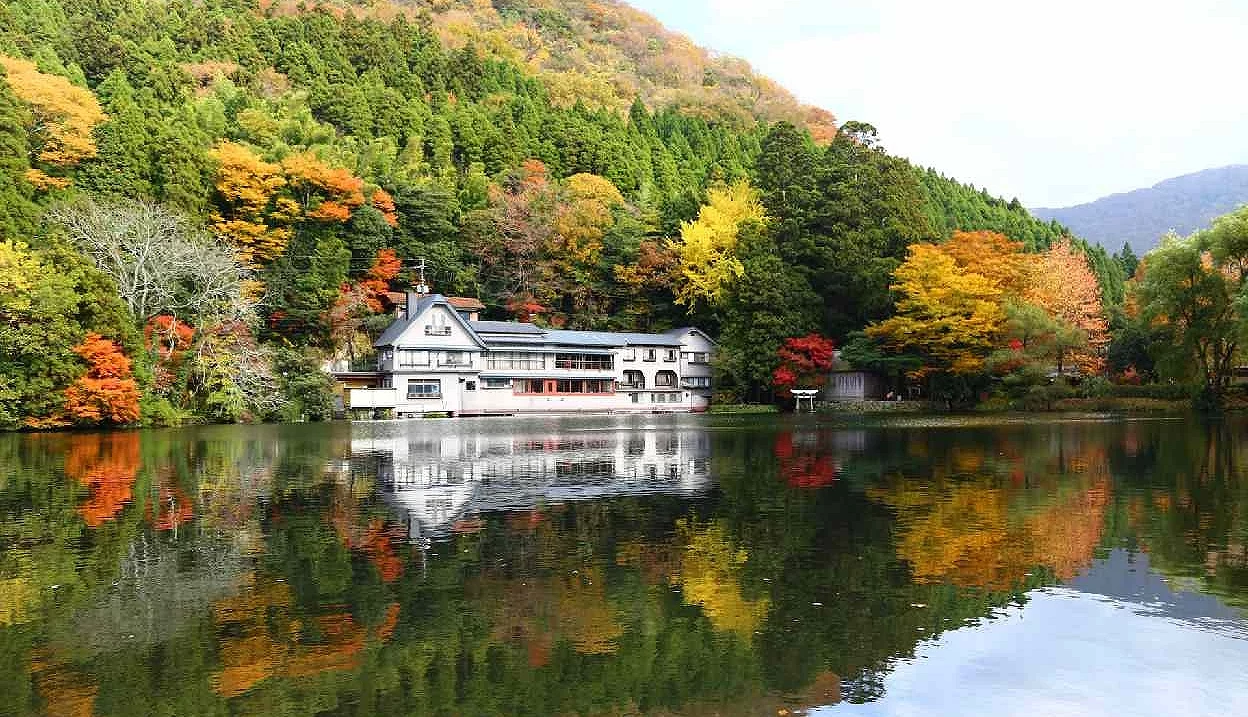 倒映在湖面的楓樹絢麗景致
