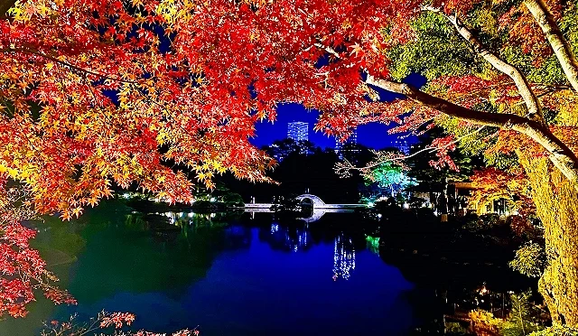 縮景園夜間點燈的景緻