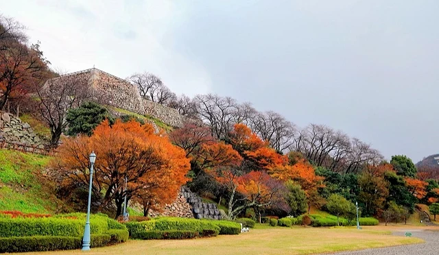鳥取城跡與紅葉