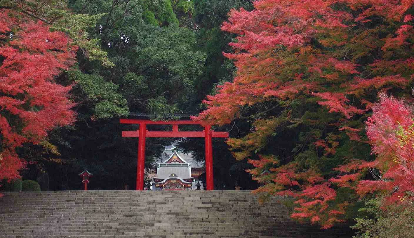 社殿前兩排火紅的紅葉