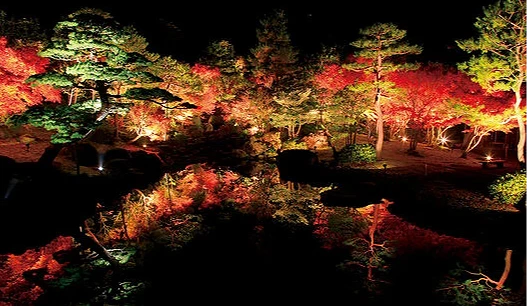 夜間燈光映照下呈現出各種色彩
