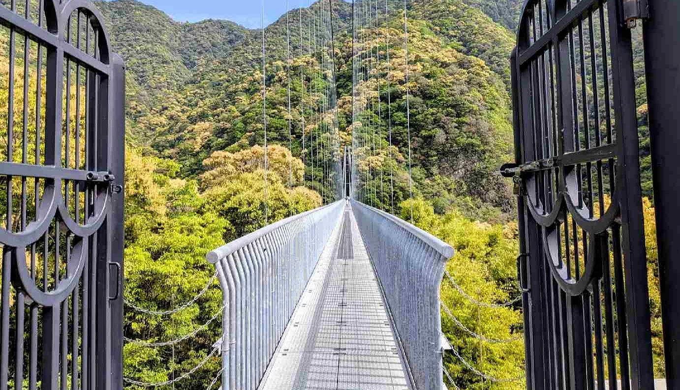 山林逐漸轉為黃橙色