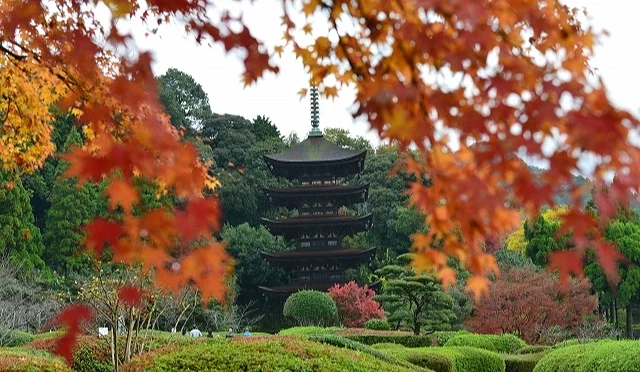 五重塔與紅葉交織的美景