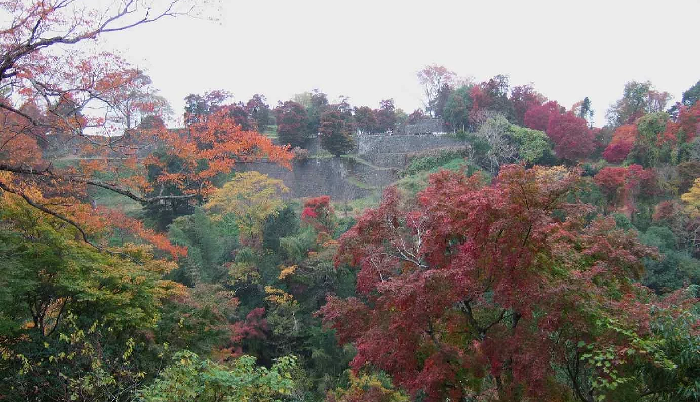 山城遺跡與紅葉的相互輝映