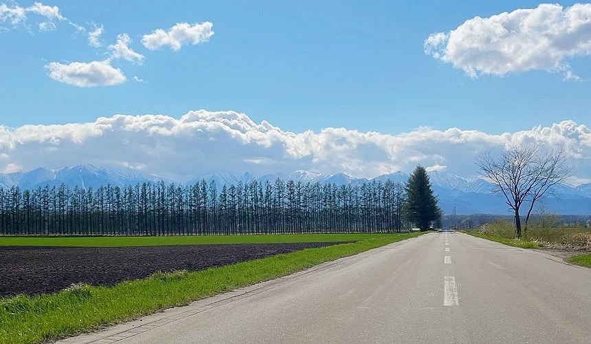 十勝的筆直公路