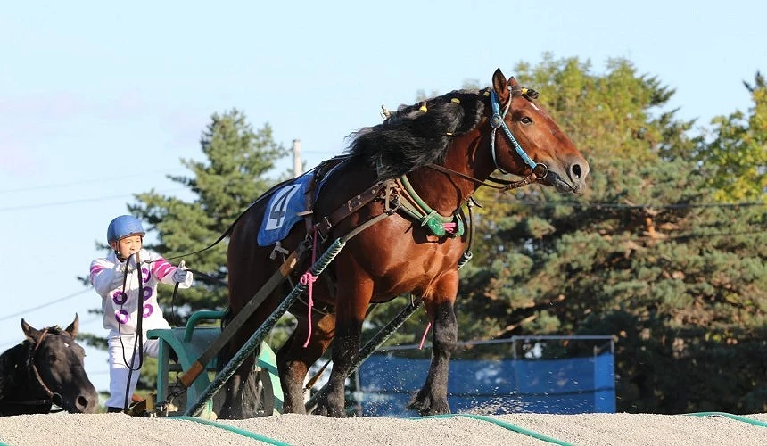 帶廣賽馬場