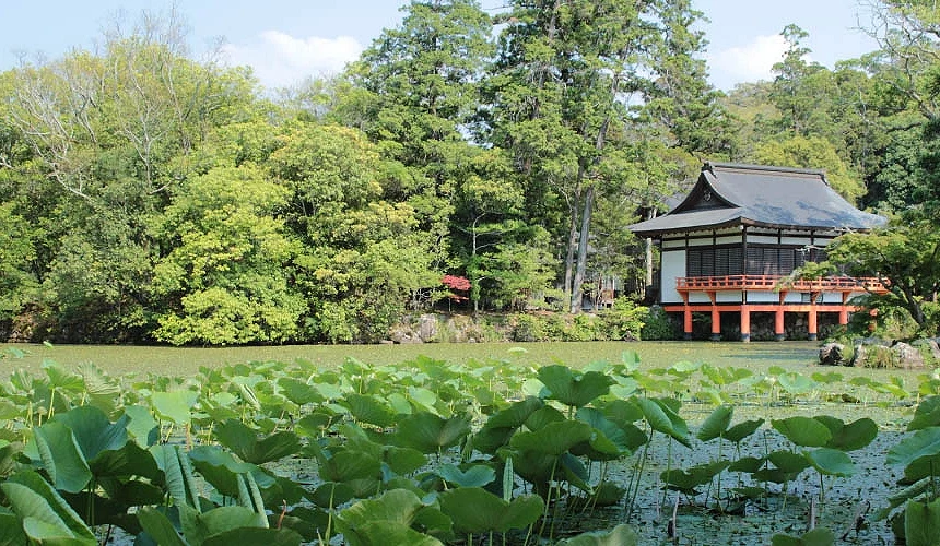 宇佐神宮菱形池的庭園造景