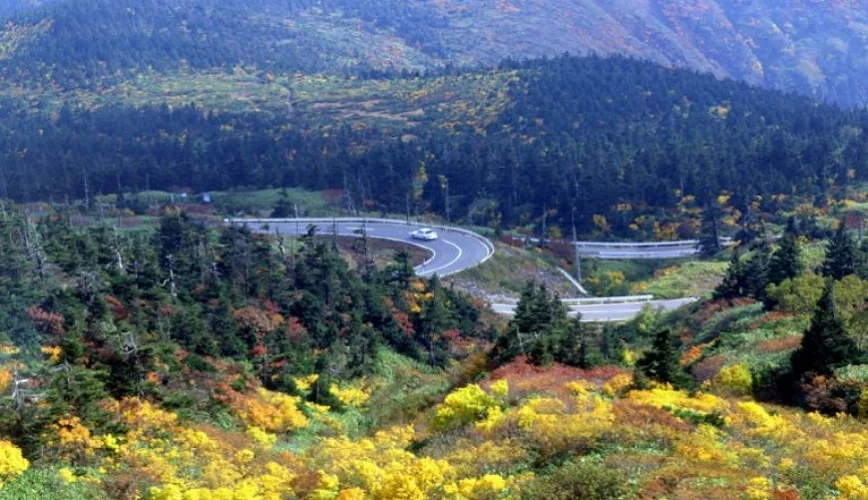 山間蜿蜒的道路