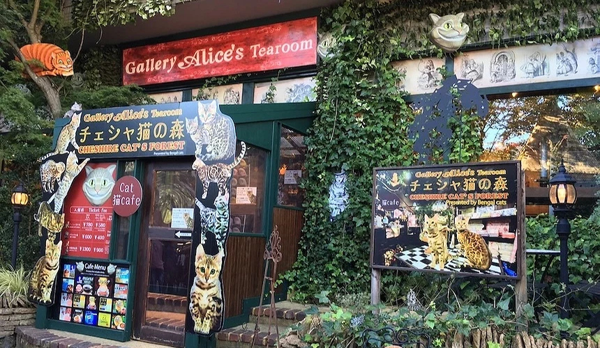 柴郡貓主題茶屋店面,貓咪看板與常春藤