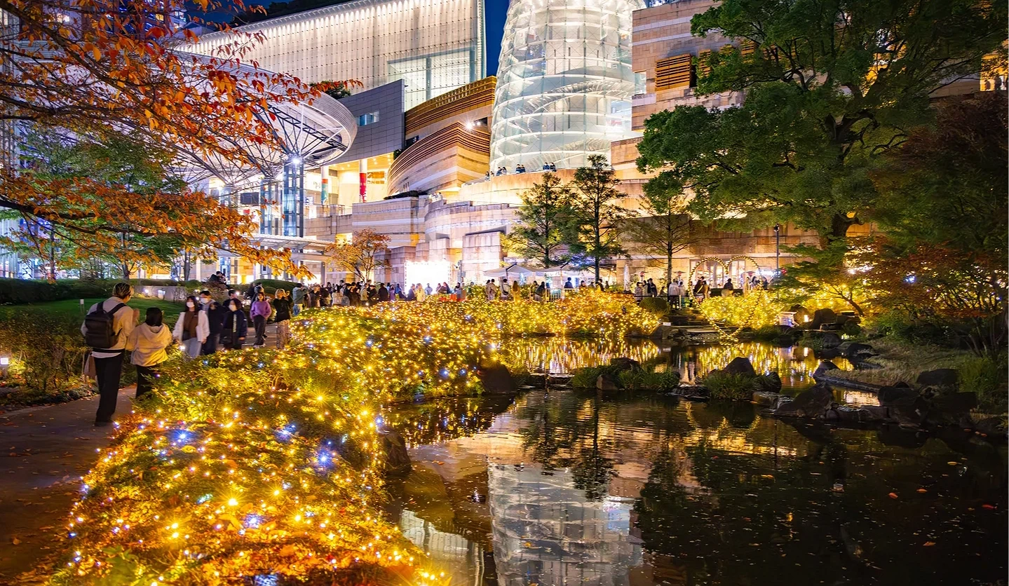 六本木之丘毛利庭園夜景,金色與白色燈飾沿池畔鋪展,映照出水面倒影