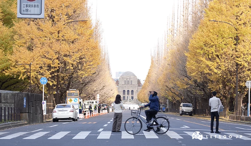 銀杏並木大道兩側轉黃,行人與騎車者停於斑馬線,遠端可見圓頂建築,左側路牌標示414