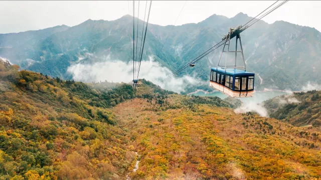 【立山黑部楓葉】紅葉9月中開始！2026賞楓8選、最佳觀賞期搶先看 的縮圖