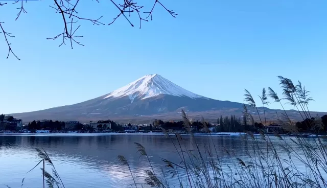 山梨富士山景點12選：富士五湖、河口湖纜車、逆富士攝影點一次看 的縮圖