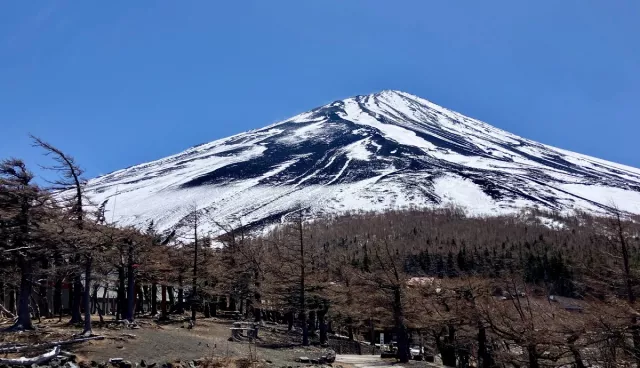 富士山五合目完整攻略：不用登山就能到，交通、開放時間、看點全收錄