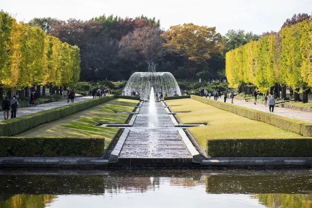 國營昭和紀念公園完整攻略：銀杏大道與四季花海，點燈、門票交通整理
