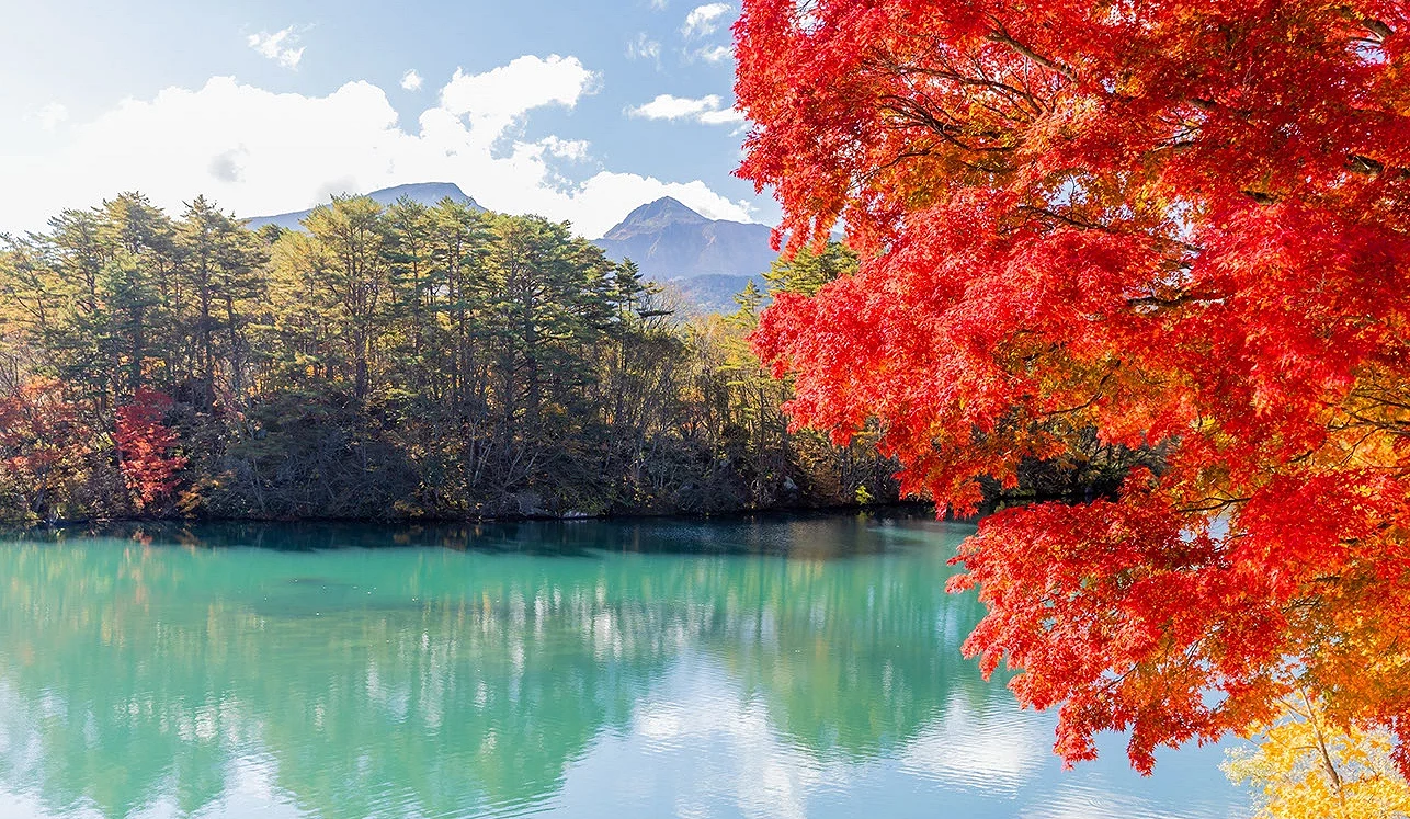 裏磐梯的「五色沼」以碧綠的湖水見稱