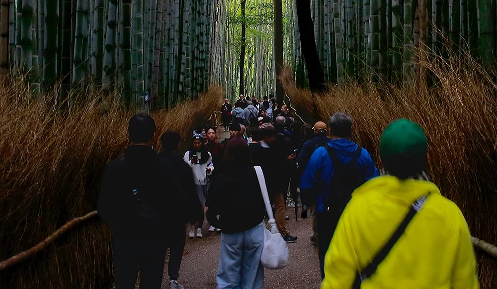 擠滿遊客的嵐山竹林小徑