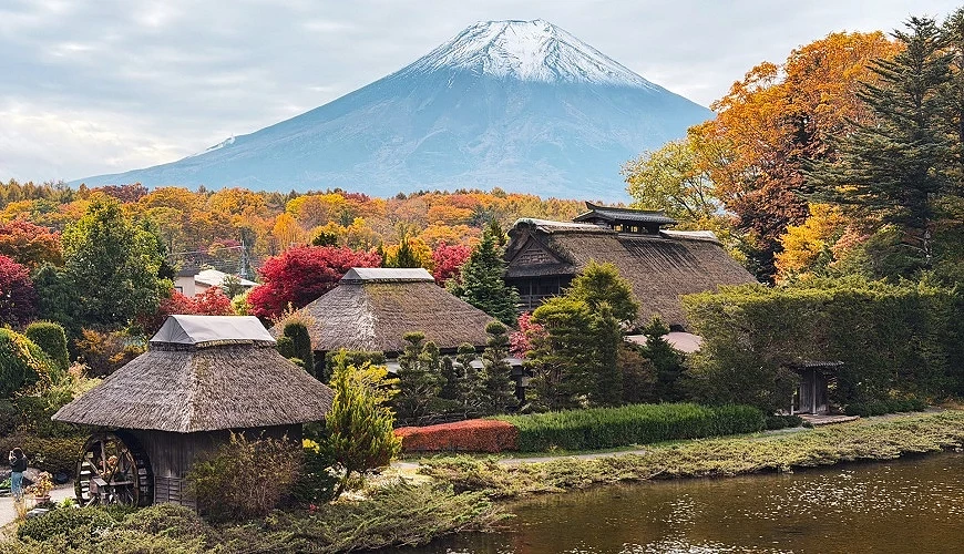 秋季忍野八海的紅葉與初冠雪的富士山