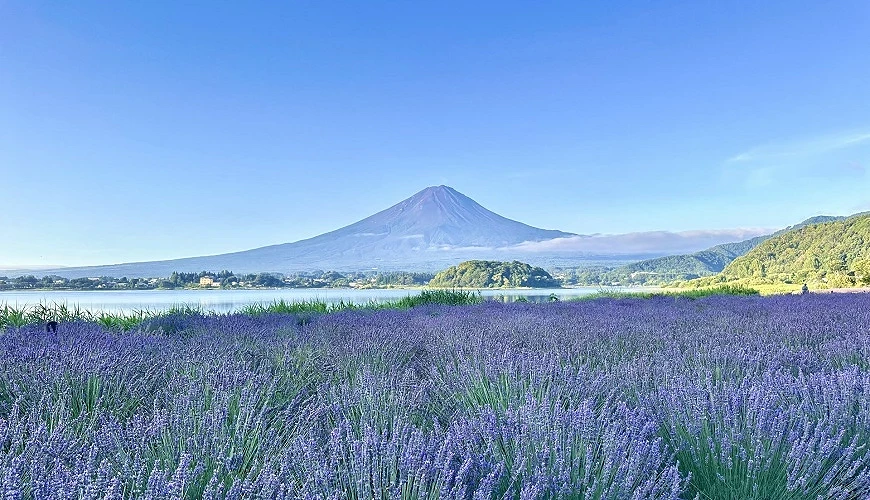 夏季霧濛濛的深色富士山