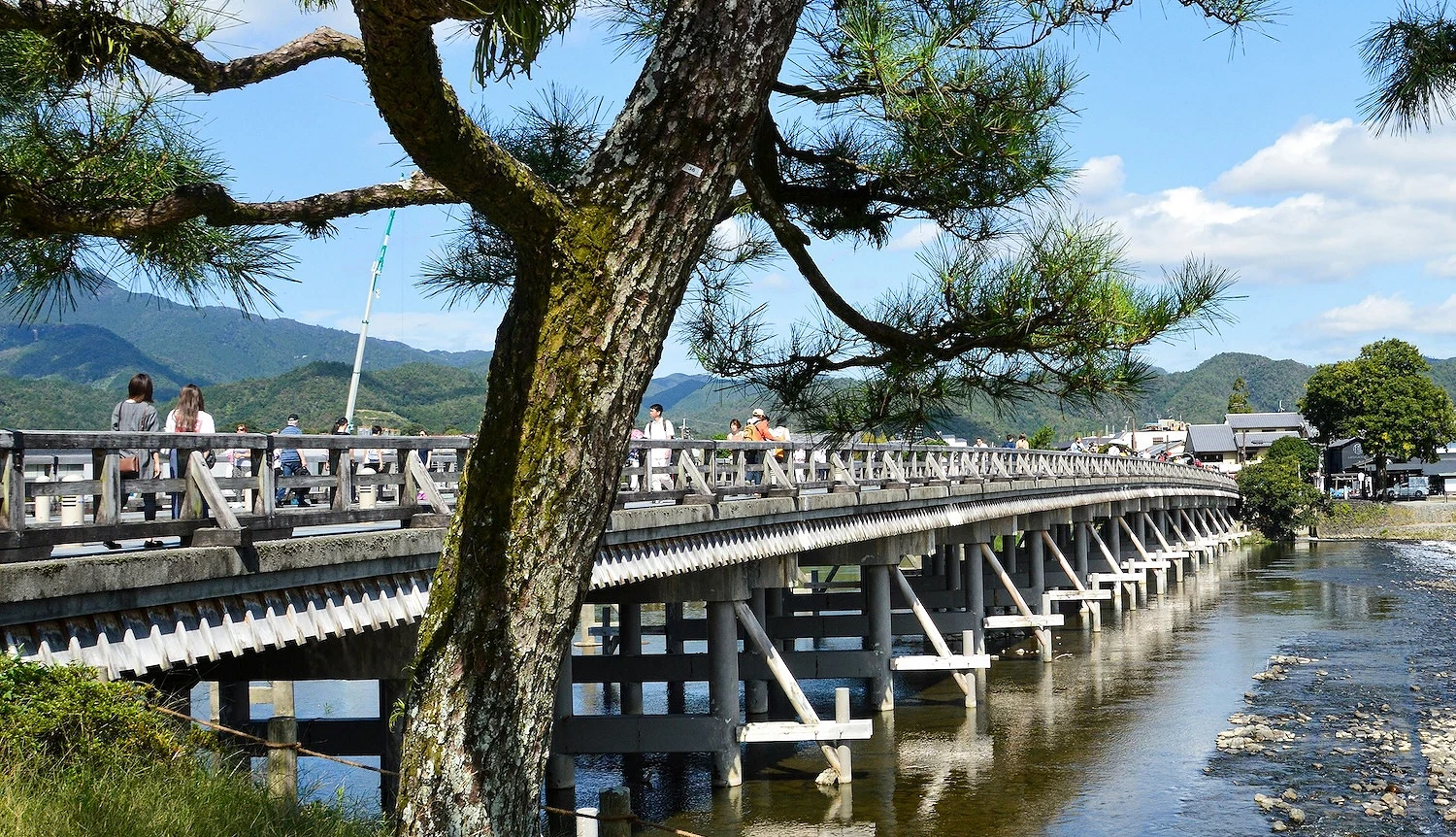 前景有松樹的嵐山渡月橋