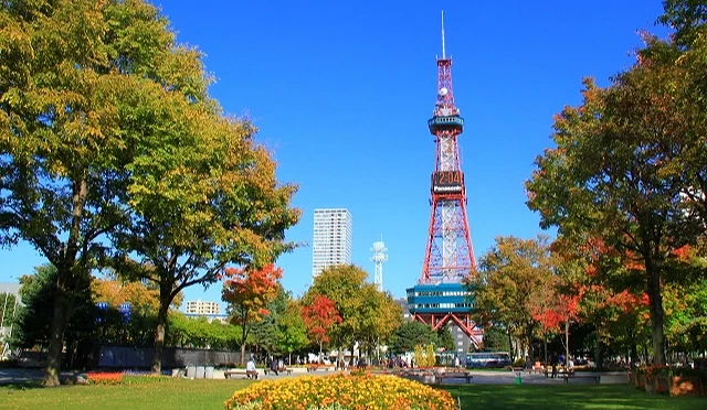 秋季的札幌大通公園,蔚藍晴空下聳立著紅色的札幌電視塔,塔上的數位鐘顯示時間為 12:04。公園內草坪翠綠,中央有盛開黃花的花壇,兩側樹木葉片轉為金黃與橙紅,展現濃厚的秋日景色。