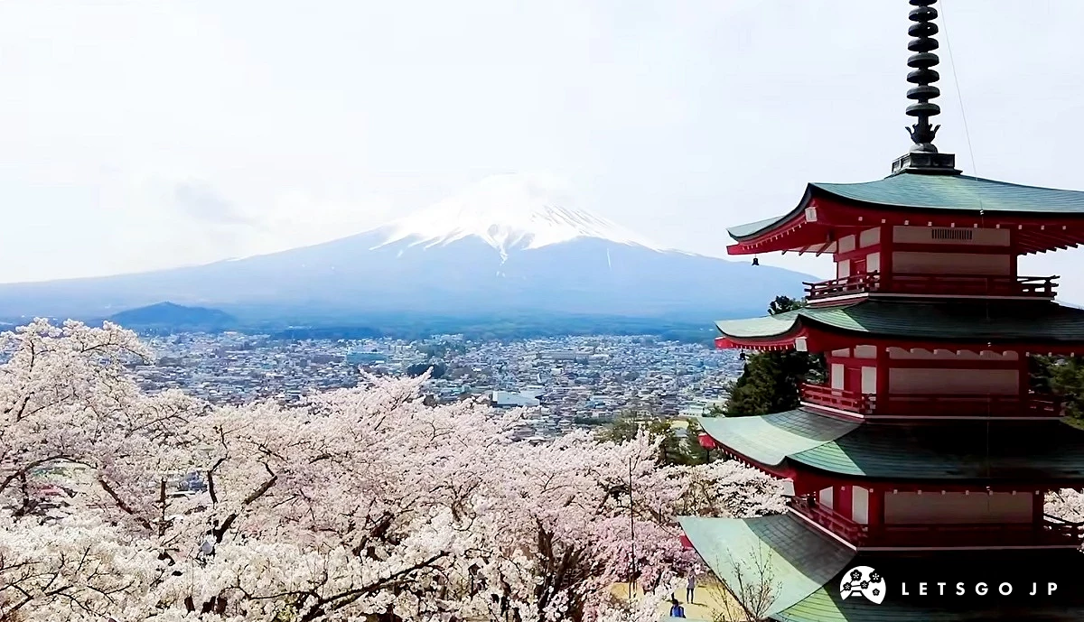 新倉山淺間公園展望台眺望櫻花雨富士山